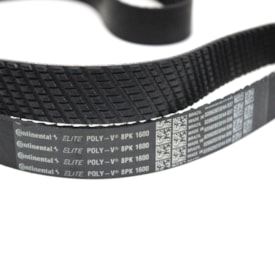 CONTINENTAL | 8PK1600 | CORREIA MICRO V 8PK1600 MB MOTOR OM457LA