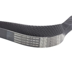 CONTINENTAL | 8PK2855 | CORREIA MICRO V 8PK2855