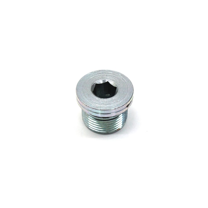 CUMMINS | 3089238 | BUJAO/TAMPAO ALLEN ROSCADO (22MM) M22X1,5 CABECOTE FORD/VW MOTOR CUMMINS SERIE ISB 4CIL/6CIL-be881781-5f36-4970-bacc-751c6789fa72