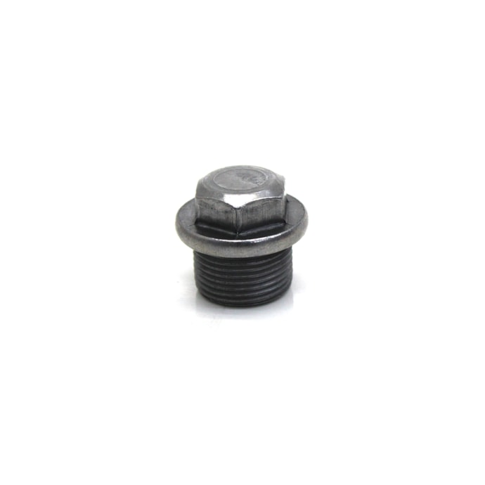 CUMMINS | 3924148 | BUJAO/TAMPAO (22MM) M22X1,5 CARTER FORD/VW MOTOR CUMMINS (SEXTAVADO)-ce78cf70-afbc-449d-aa30-e3323eb77013