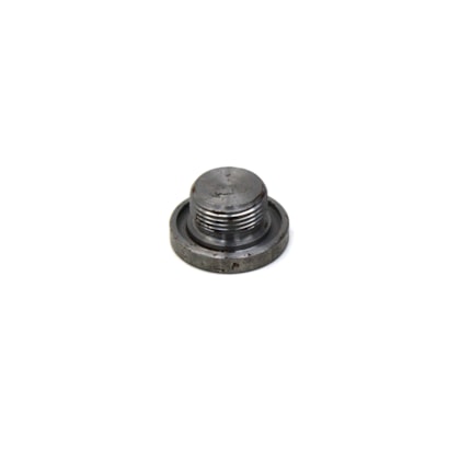 CUMMINS | 4894139 | BUJAO/TAMPAO (22MM) M22X1,5 CARTER MOTOR CUMMINS (CHAVE ALLEN)
