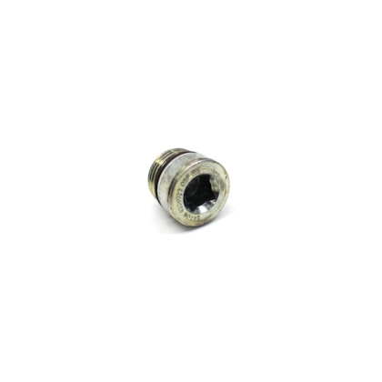 EATON | 4304023 | BUJAO/TAMPAO ALLEN ROSCADO