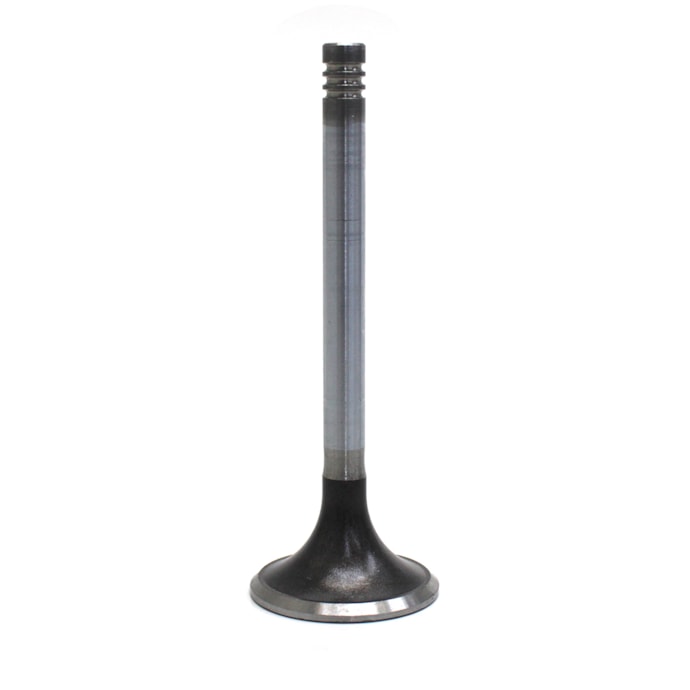 EATON | VS1134 | VALVULA ADMISSAO MOTOR 4CIL/6CIL-54d9109a-2dac-45f1-ae83-3f7a5c50aab7