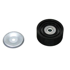 FERSA | TP00011 | POLIA ESTRIADA (FERRO) MB MOTOR OM457LA