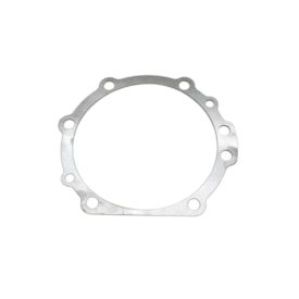 FLAUS | 02995914 | CALCO 0,25MM MAIOR AJUSTE CAIXA PINHAO FORD/VW EIXO L345 (DIF TINKAO)