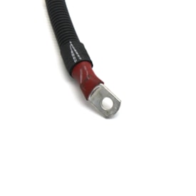 FORD MOTOR COMPANY | 4C4514300ED | CABO