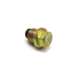 FPP | 2TC145915 | BUJAO/TAMPAO (18MM) M18X1,5 CARTER MOTOR CUMMINS (COM IMA)