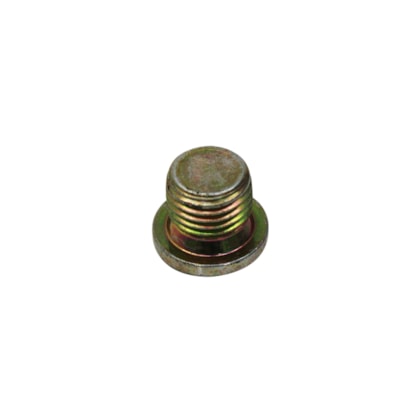 FPP | BH1X9C189AA | BUJAO/TAMPAO ALLEN ROSCADO (14MM) M14X1,5 FORD