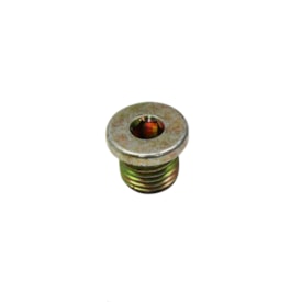 FPP | BH1X9C189AA | BUJAO/TAMPAO ALLEN ROSCADO (14MM) M14X1,5 FORD