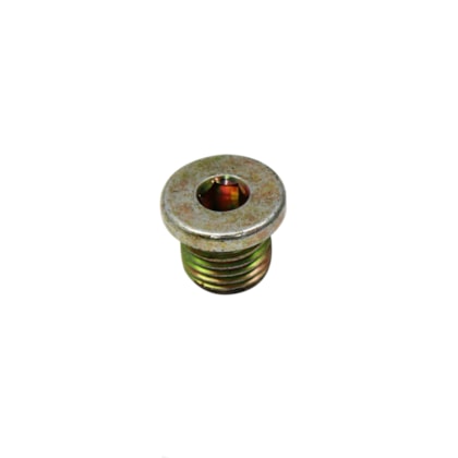 FPP | BH1X9C189AA | BUJAO/TAMPAO ALLEN ROSCADO (14MM) M14X1,5 FORD