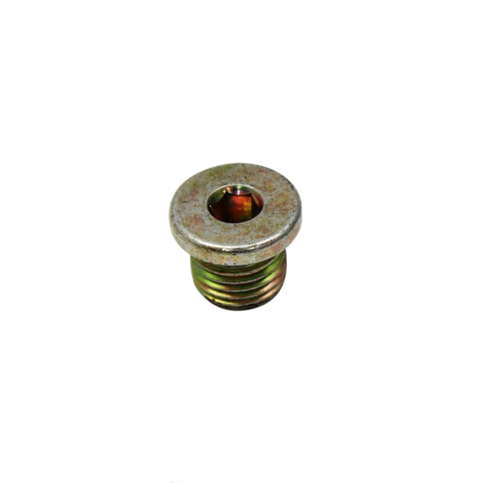 FPP | BH1X9C189AA | BUJAO/TAMPAO ALLEN ROSCADO (14MM) M14X1,5 FORD-35b585f9-1349-4df4-a756-924a8179bd2b