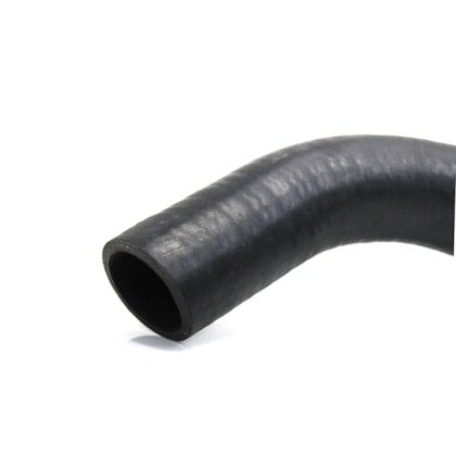 JAMAICA | MM11101 | MANGUEIRA