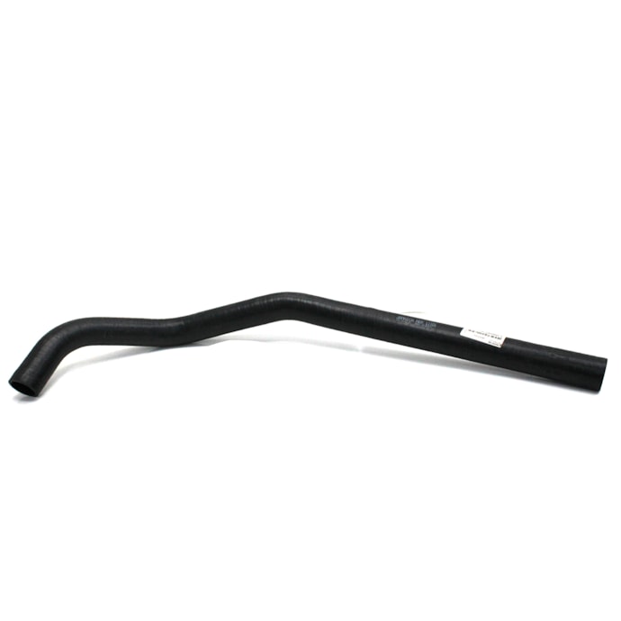 JAMAICA | MM11101 | MANGUEIRA-64128873-94f1-40bb-9cee-ce2e43c5d506