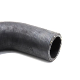 JAMAICA | MM3051 | MANGUEIRA SAIDA