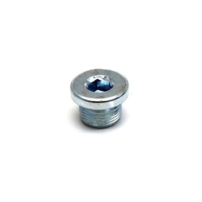 LANGER | LA321 | BUJAO/TAMPAO (20MM) M20X1,5 MB CARTER MOTOR OM904LA/OM924LA/OM906LA (CHAVE ALLEN)-6d9e052e-9d31-4943-ad8a-cbb47fb92622