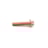 MAN LATIN AMERICA | 07W109177C | PARAFUSO (8MM) M8X40X1,25 FIXACAO COLETOR ESCAPE VW MOTOR MAN D0834/D0836 4CIL/6CIL EURO 5/6 (BRONZE) (FLANGEADO - CHAVE TORX)-adaaf9ea-e131-4684-a363-10523cdf7541
