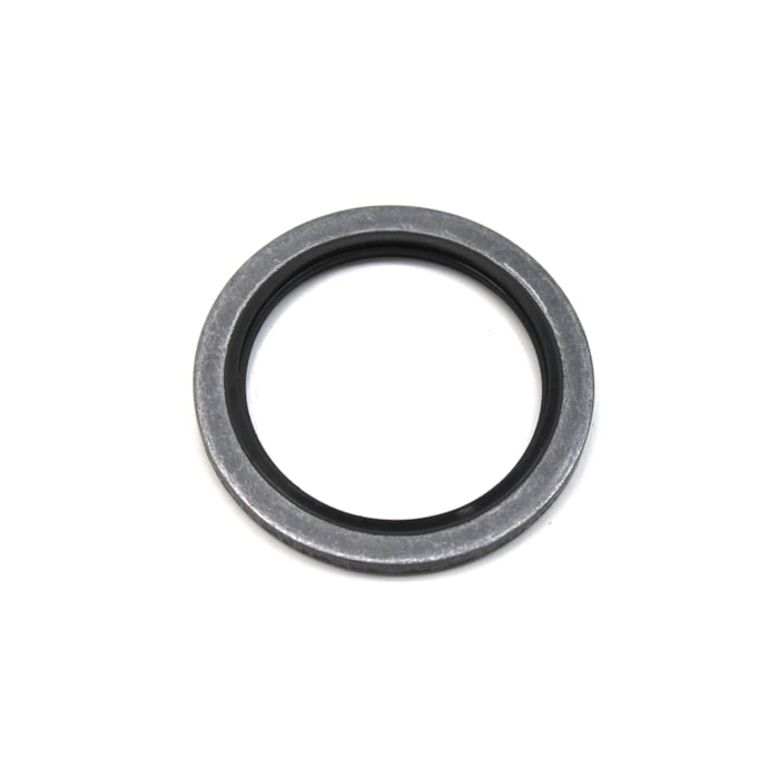 MAN LATIN AMERICA | 07W115427 | ARRUELA ACO (24,70MM) M24,7X32X2,0 COM VEDACAO BORRACHA VW CONSTELLATION/WORKER-73afdf59-83a8-4df7-a699-30c9bddb64b6