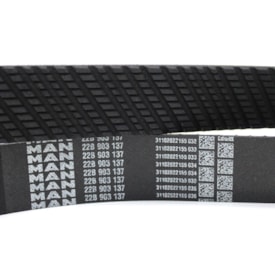 MAN LATIN AMERICA | 22B903137 | CORREIA 10PK2590 VW ONIBUS MOTOR EURO 5