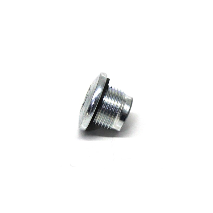 MAN LATIN AMERICA | WHT005482 | BUJAO/TAMPAO (20MM) M20X1,5 TAMPA DIFERENCIAL VW NOVO DELIVERY (EIXO AAM)-85752078-3a83-437e-935b-c3e129317576