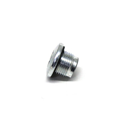 MAN LATIN AMERICA | WHT005482 | BUJAO/TAMPAO (20MM) M20X1,5 TAMPA DIFERENCIAL VW NOVO DELIVERY (EIXO AAM)