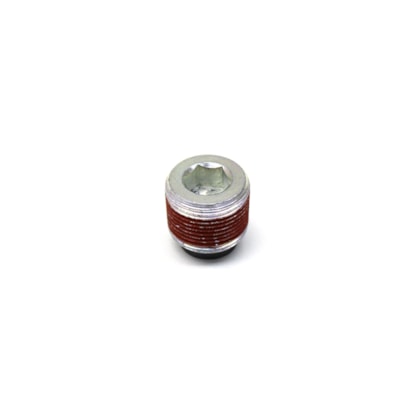 MERITOR | 021064 | BUJAO/TAMPAO ALLEN ROSCADO (24MM) M24X1,5 (COM IMA) FORD/VW/MB (CHAVE 1/2)