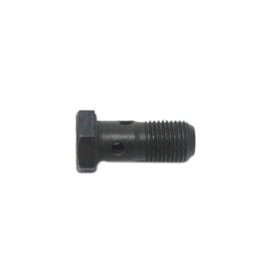 MWM | 12625848 | PARAFUSO OCO (10MM) M10X20X1,0 DO TUBO LUBRIFICAÇÃO S10  2013....