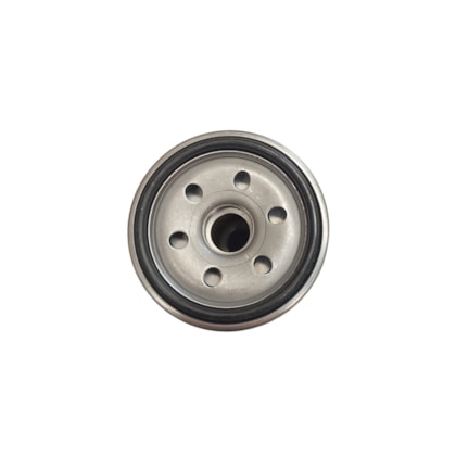MWM | 4043517C1E | FILTRO OLEO DIRECAO HIDRAULICA DURASTAR P5/P7       INTERNATIONAL