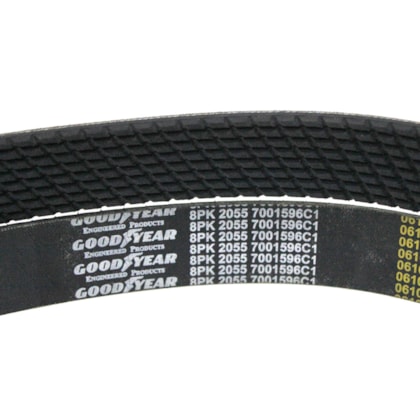 MWM | 7001596C1 | CORREIA POLY V 8PK2055