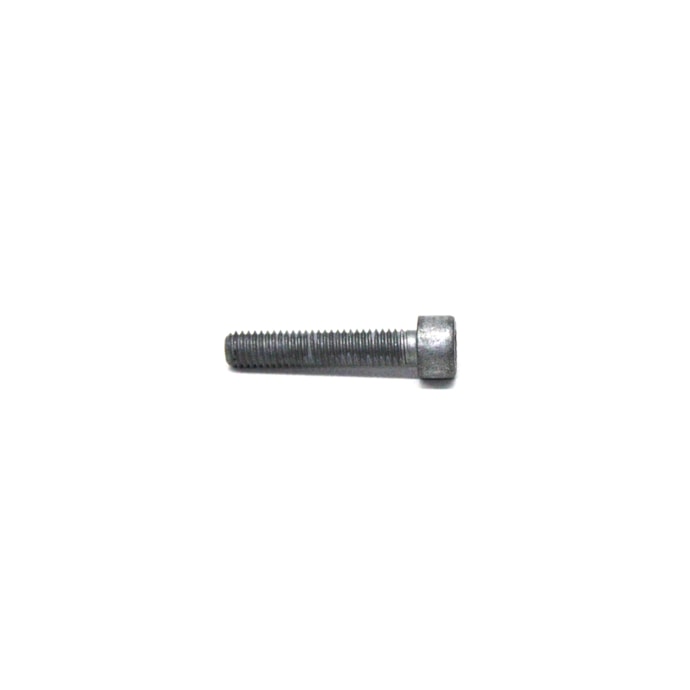 MWM | 7002000C1E | PARAFUSO (6MM) M6X30 8.8 AGRALE/VOLVO MOTOR MWM MAXXFORCE-953d0206-4cb5-46b4-bb5b-bdf87acdcb81
