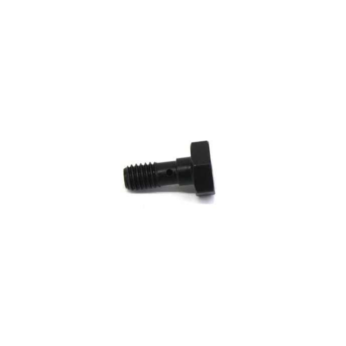 MWM | 70740744E | PARAFUSO BANJO  M6 X 1 0 X 15-0b855796-c64a-4e07-b224-51628693c10b