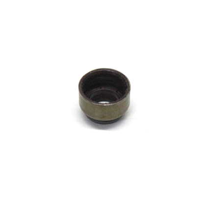 MWM | 904960640089E | RETENTOR HASTE VALVULA ADMISSAO/ESCAPE AGRALE/FORD/VW MOTOR MWM 225/226/229/X10/X12/MAXXFORCE 3CIL/4CIL/6CIL (8,70X13,50X11MM)