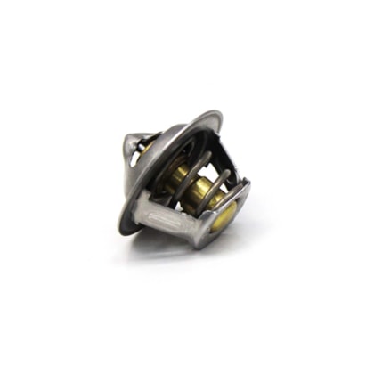 MWM | 905250100042E | VALVULA TERMOSTATICA VW DELIVERY MOTOR MWM SPRINT 4.08 4CIL