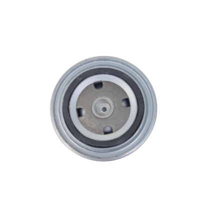 MWM | 905411870002E | ELEMENTO FILTRANTE