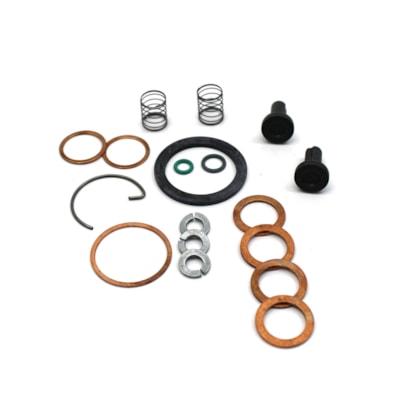 MWM | 922500190607E | JG REPARO PARCIAL BOMBA ALIMENTADORA MANUAL FORD/VW MOTOR MWM 229/X10 | MB/SCANIA (MODELO BOSCH) (SEM JUNTA/COPO/PENEIRA)