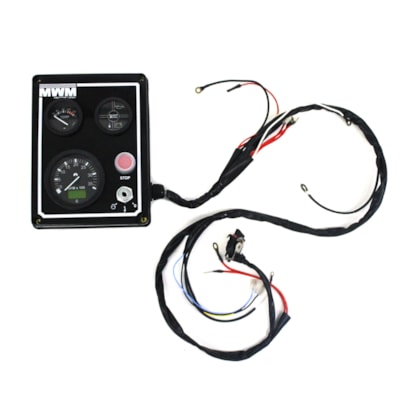 MWM | 970000165114 | PAINEL DE INSTRUMENTOS CXG 24V