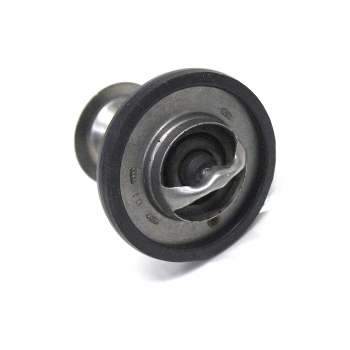 MWM | ERR3291AE | VALVULA TERMOSTATICA 88 GRAUS FORD RANGER | MB SPRINTER | MOTOR MAXION HS 2.5-0374204e-7f0a-4bc1-bd17-35b12b923a27