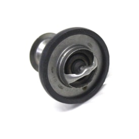 MWM | ERR3291AE | VALVULA TERMOSTATICA 88 GRAUS FORD RANGER | MB SPRINTER | MOTOR MAXION HS 2.5