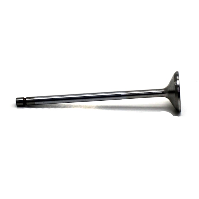 MWM MASTER PARTS | MM100819E | VALVULA ESCAPE 45GR MB MOTOR OM904LA/OM924LA/OM906LA/OM926LA 4CIL/6CIL-ebc40fd1-6c0b-4e01-a91e-59377421d640