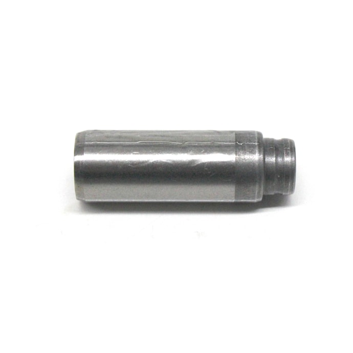 MWM | MM100966E | GUIA STD VALVULA ADMISSAO/ESCAPE MB ACCELO 715 MOTOR OM612LA 5CIL | MB SPRINTER CDI MOTOR OM611LA (UNITARIO)-d8e69fe2-a66b-4434-b613-6f9aabd83ec2