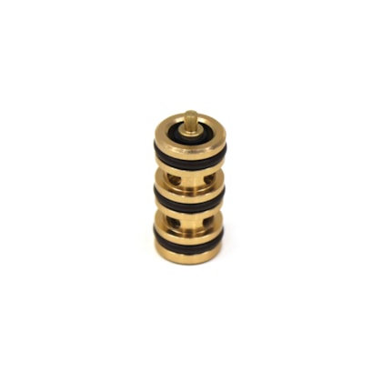 PAI | TJG311555 | EMBOLO DO CILINDRO