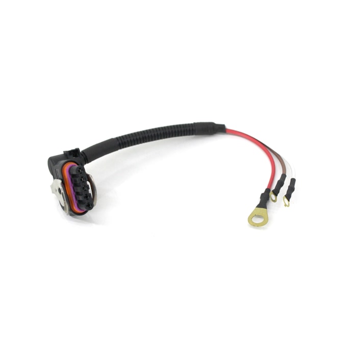 RAINHA DAS SETE | ETE8599 | CHICOTE CONECTOR/PLUG ALTERNADOR 5 VIAS COM 3 FIOS (REPARO RAPIDO)-306fa33f-dea5-4778-916d-64e7b5146196