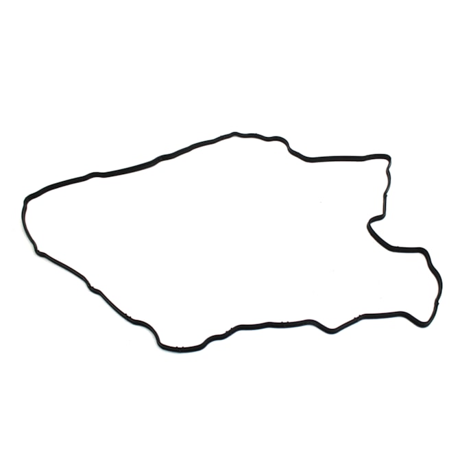 SABO | 75646 | JUNTA (BORRACHA) INFERIOR CARCACA BALANCIM/TAMPA VALVULA FORD/VW MOTOR CUMMINS SERIE ISB 5.9 6CIL (MONTA PARTE INFERIOR CARCACA BALANCIM)-19ad7648-c974-49dd-8725-04ffc857ec53