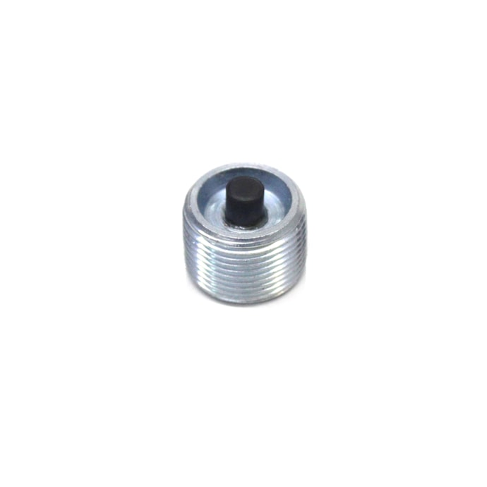 SUK PARTS | SUK240 | BUJAO/TAMPAO ALLEN ROSCADO (COM IMA) FORD/VW/MB (CHAVE 22MM)-fa6cd409-3adc-4601-8876-e8bd6347c044