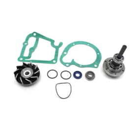 VETORE | VBA366RL | REPARO BOMBA DAGUA MOTOR OM366/OM366A