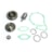 VETORE | VBA520RL | JG REPARO BOMBA DAGUA MOTOR MB ACTROS 1831/1835/1840/1848/1857 MOTOR OM501LA/OM502LA (VEICULOS COM RETARDER)-71264aa5-26ac-4a05-b8eb-cc7649dcb6e7