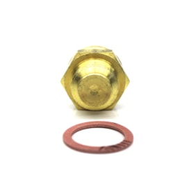 WAHLER | 601075 | SENSOR/INTERRUPTOR TEMPERATURA RADIADOR 2 POLOS (76 GRAUS DESLIGADO E 86 GRAUS TEMPERATUARA DE ACIONAMENTO) (ROSCA M22X1,5)