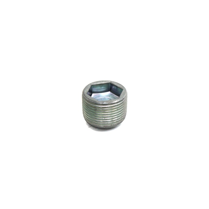 ZF | 0501327578 | BUJAO/TAMPAO ROSCADO FORD/VW/MB CAMBIO ZF-3d6d5fed-f348-49e5-8b79-be032332c470