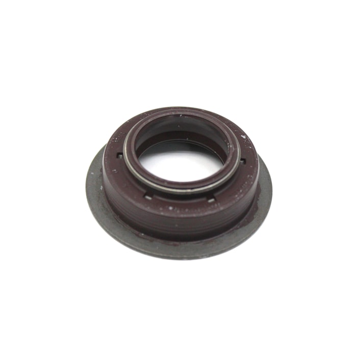 ZF | 0750112131 | RETENTOR CHAPEU CANECA/CILINDRO GP/GV (TRANSFERENCIA/REDUZIDA) VW CAMBIO ZF 16S (25X40X14,50MM)-5c4215a0-b035-4334-b961-ce2d7a619954